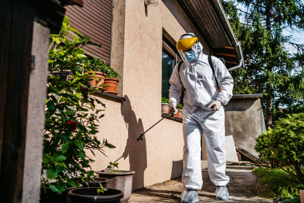 Best Affordable Pest Control Services  in Indiantown, FL