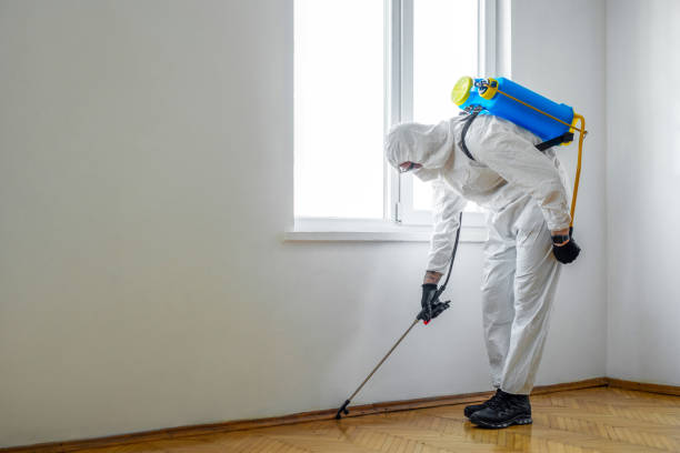 Best Pest Control Near Me  in Indiantown, FL