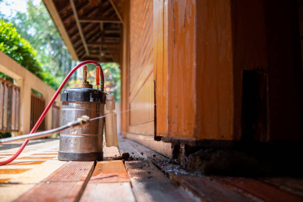 Best Pest Removal Services  in Indiantown, FL