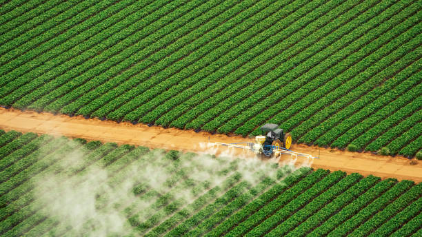 Best Insect Control  in Indiantown, FL
