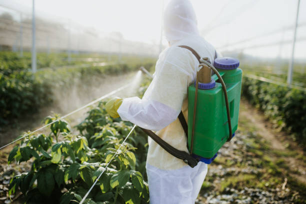 Best Flea Control Services  in Indiantown, FL